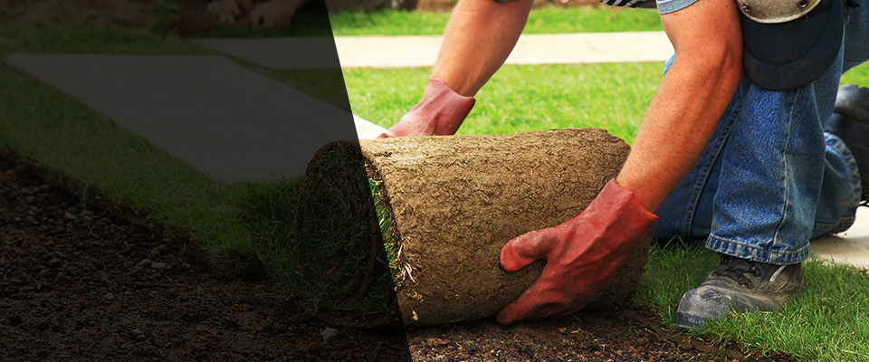 Sartell Landscapers
